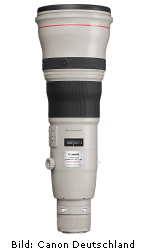 Canon EF 800mm 1:5,6L IS USM